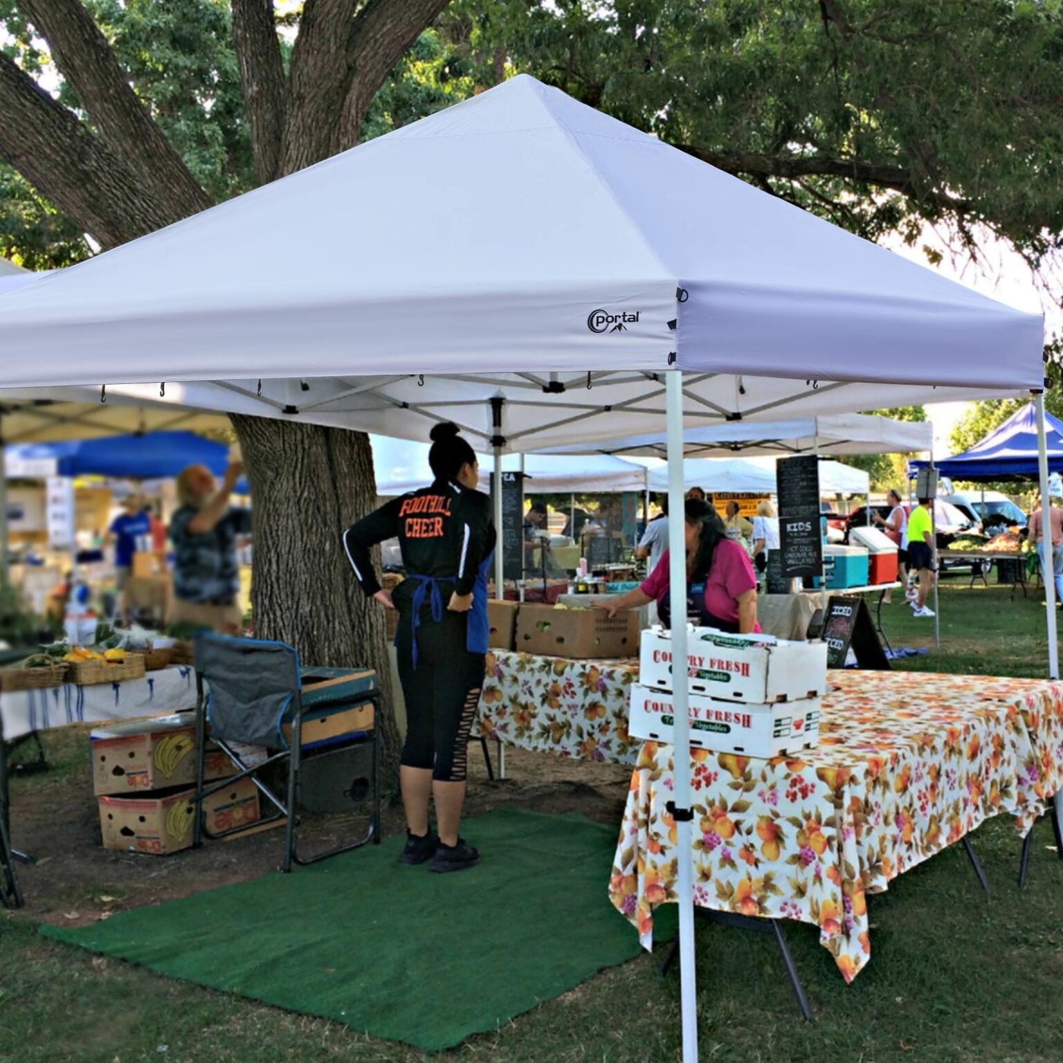 10x10-canopy-tent.jpg 10x10 Pop-Up Canopy