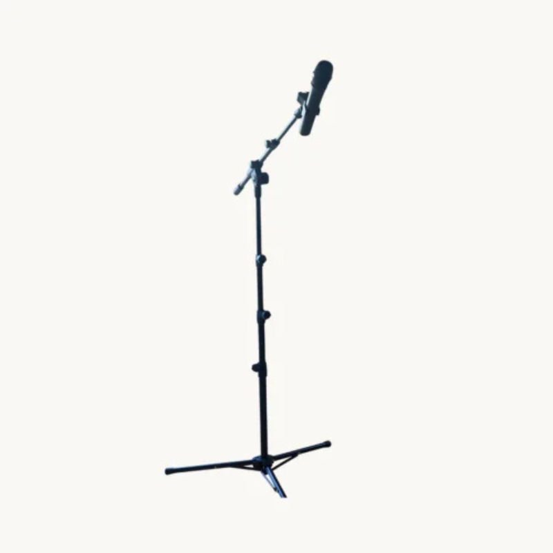 Microphone & Stand